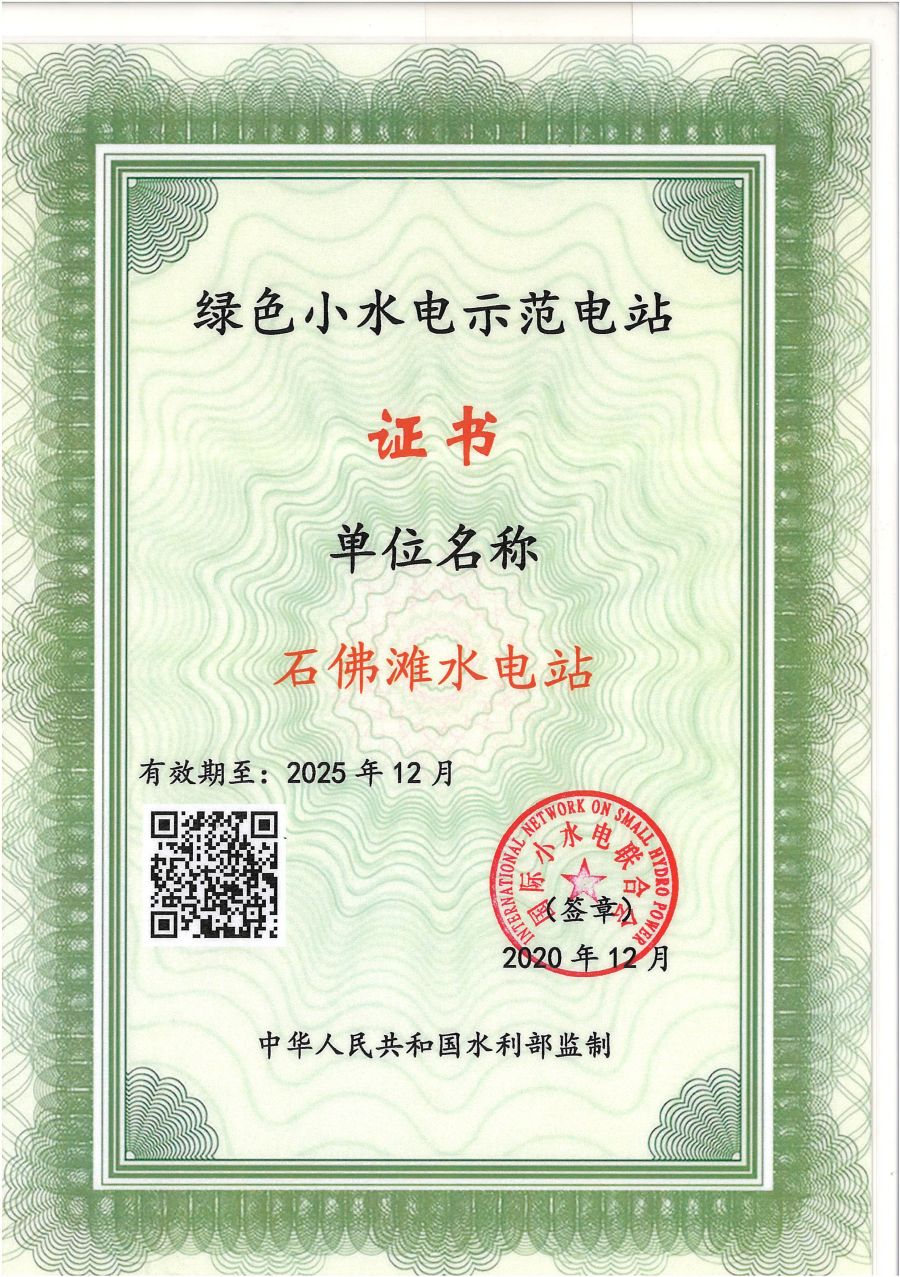 绿色小水电树模电站